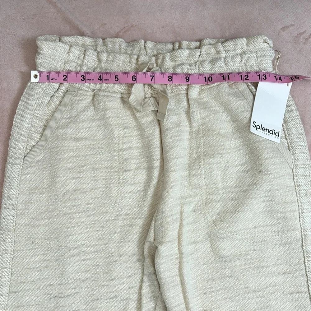 Splendid Dolan Heathered Casual Pants - Picture 6 of 10